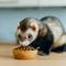 Show in main carousel: Mycelium Feeds Pellets Ferret Food, 5-lb bag slide 4 of 8