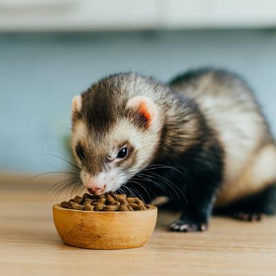 Show full view: Mycelium Feeds Pellets Ferret Food, 5-lb bag slide 4 of 8