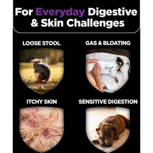 Nutri-Vet Pre & Probiotics Soft Chews Digestive Supplement for Dogs, 120 count