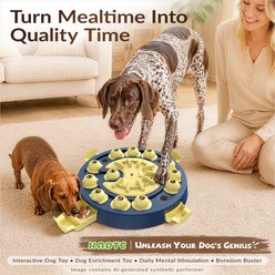 KADTC Einstein 3 In 1 Puzzle Dog Toy, Blue slide 2 of 9