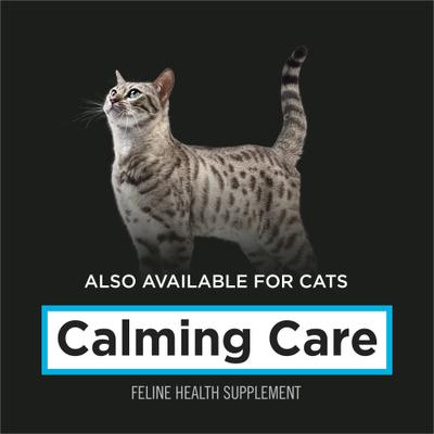 Show full view: Purina Pro Plan Veterinary Diets Calming Care Liver Flavored Powder Calming Supplement for Dogs, 30 count slide 10 of 10