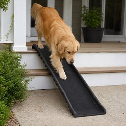NonoPets Heavy-Duty Foldable Non-Skid Dog & Cat Ramp with 155-cm Extended Length & High-Traction Surface, Black