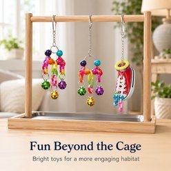 NonoPets Colorful Hanging Swings, Climbing Ladders, Chewing Beads & Bell Toys Interactive Bird Toy Set, 19 count slide 2 of 8