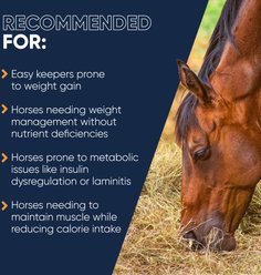 Cavalor Silhouette Mix Horse Feed, 44-lb bag slide 2 of 7
