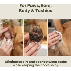 Pogi's Pet Supplies Deodorizing Wipes for Dogs & Cats, 100 count, Unscented