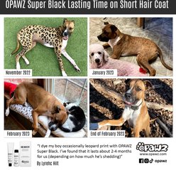 OPAWZ Permanent Dog Hair Dye, Super Black, 2.02-fl oz bottle slide 2 of 9