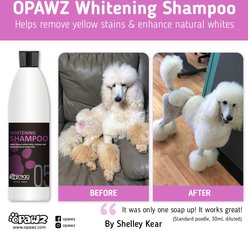 OPAWZ Whitening Dog & Cat Shampoo, 16.94-fl oz bottle slide 2 of 6