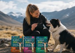 Karoo Wild Oregano Seasoned Soft & Chewy Training Bits Dog Treats, 4-oz bag slide 2 of 9