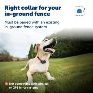 PetSafe Deluxe In-Ground UltraLight Receiver Collar