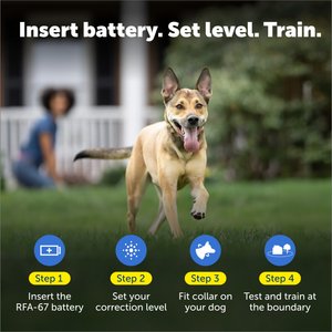 PetSafe Deluxe In-Ground UltraLight Receiver Collar