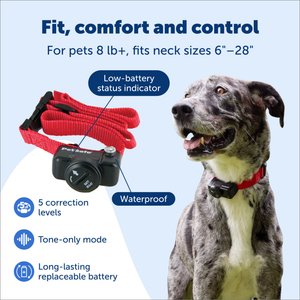 PetSafe Deluxe In-Ground UltraLight Receiver Collar