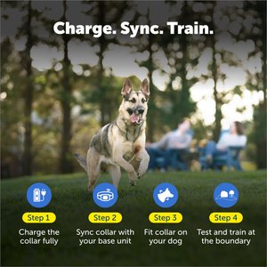 PetSafe Stubborn Dog Stay+Play Wireless Fence Receiver Collar