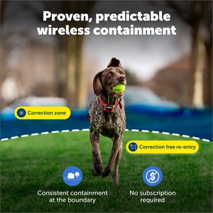 PetSafe Stubborn Dog Stay+Play Wireless Fence Receiver Collar