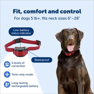 PetSafe Stubborn Dog Stay+Play Wireless Fence Receiver Collar