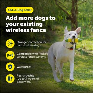 PetSafe Stubborn Dog Stay+Play Wireless Fence Receiver Collar