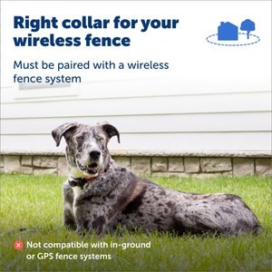PetSafe Wireless Fence Receiver Collar