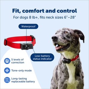 PetSafe Wireless Fence Receiver Collar