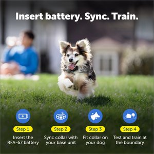 PetSafe Wireless Fence Receiver Collar