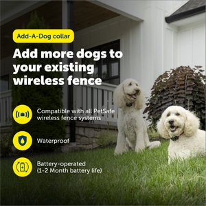 PetSafe Wireless Fence Receiver Collar
