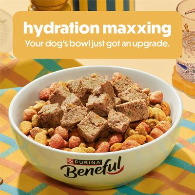Show full view: Purina Beneful Healthy Weight with Farm-Raised Chicken Dry Dog Food, 3.5-lb bag slide 3 of 9
