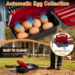 Winado Iron & Plastic Construction Sloped Roof 3-Compartment Chicken Feeder with Legs, Red slide 2 of 9