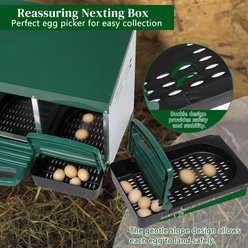 Winado Iron & Plastic Construction 2-Compartment Sloped Roof Chicken Feeder, Green slide 2 of 8