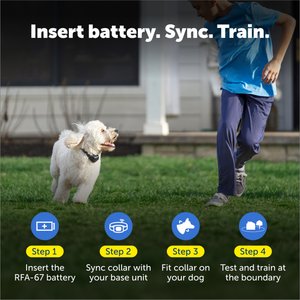 PetSafe Stay & Play Wireless Fence Collar