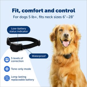 PetSafe Stay & Play Wireless Fence Collar