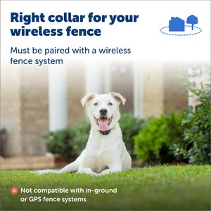 PetSafe Stay & Play Wireless Fence Collar