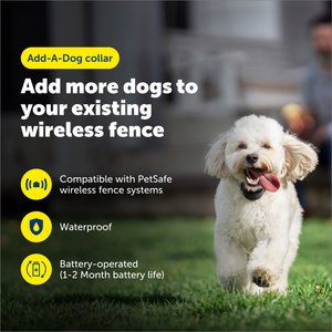 PetSafe Stay & Play Wireless Fence Collar