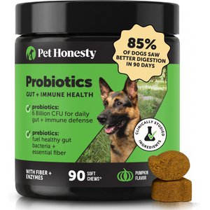 Pet Honesty Probiotics Gut + Immune Health with Prebiotics & Enzymes Pumpkin Flavored Soft Chews Digestive Supplement for Dogs, 90 count