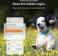 SATELLAI Wireless Fence System & GPS Tracker Dog Collar, Smoke Gray slide 2 of 9