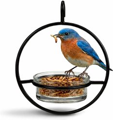 Mosaic Birds Hummble Basic Bird Feeder, Clear