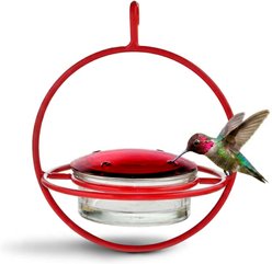 Mosaic Birds Hummble Bold Wild Bird Feeder, Clear/Red