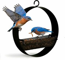 Mosaic Birds Bistro Bird Feeder, 16.9-oz, Copper