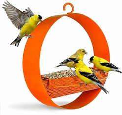 Mosaic Birds Bistro Bird Feeder, 16.9-oz, Orange