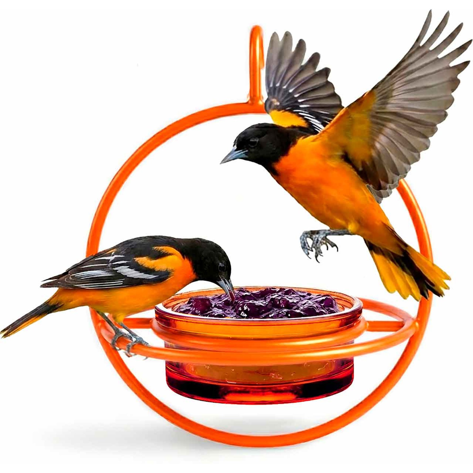 Mosaic Birds Hummble Basic Bird Feeder, Orange