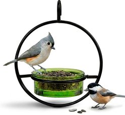Mosaic Birds Hummble Basic Bird Feeder, Lime with Black Trim