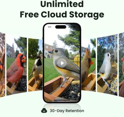 Birdfy Cedar D Smart Bird Feeder with Camera Lifetime Free AI & Solar Panel, Wooden, 2.4-L slide 2 of 9