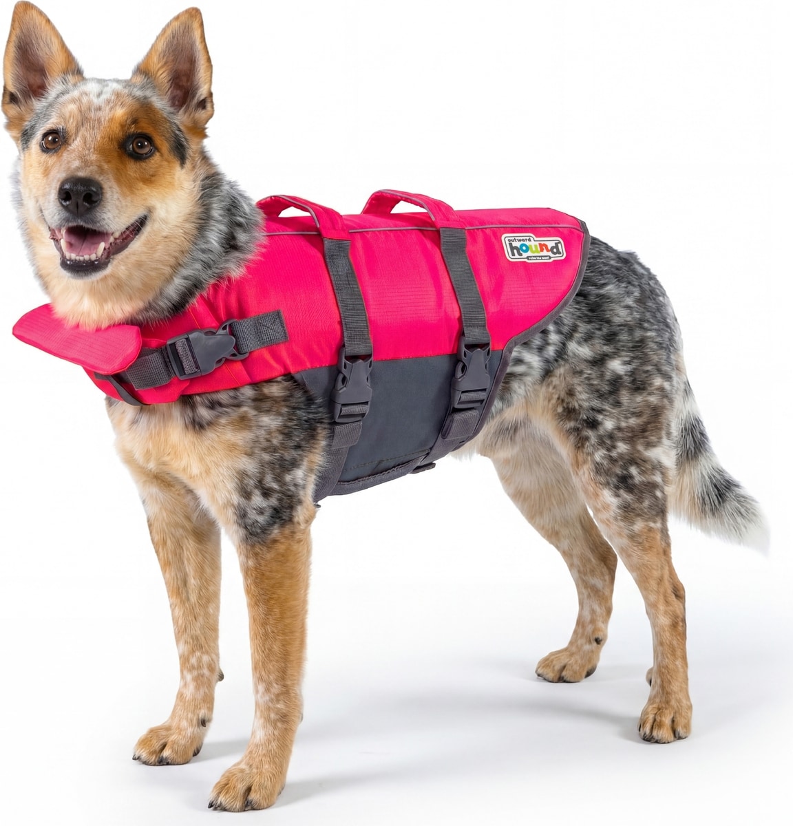 OUTWARD HOUND Granby Splash Dog Life Jacket, Pink, Medium - Chewy.com