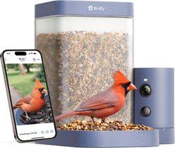 Birdfy Rookie Smart Bird Feeder with Camera, Blue