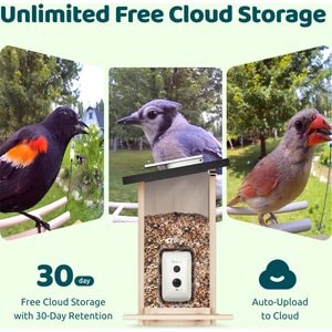 Birdfy Wooden Smart Bird Feeder with Camera Solar Powered, Ebony, 2.8L