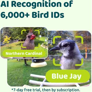 Birdfy Wooden Smart Bird Feeder with Camera Solar Powered, Ebony, 2.8L