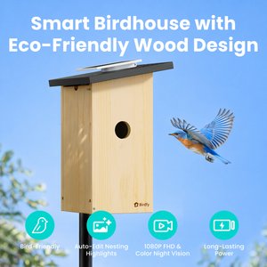 Birdfy Solar Powered Smart Bird House with Camera, Ebony