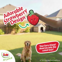 Dole Tuff BerrySqueak Plush Dog Toy, 9.5-in slide 2 of 7