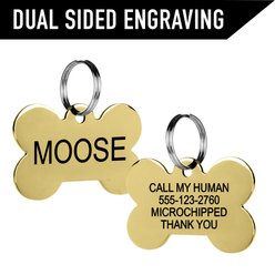 Wolfgang Personalized Fully Adjustable Dog Collar with Custom Engraved Gold Bone Tag, Losmuertos, Large: 18 to 26-in neck, 1-in wide slide 2 of 4