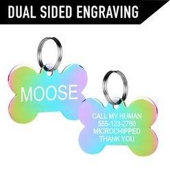 Wolfgang Personalized Fully Adjustable Dog Collar with Custom Engraved Rainbow Bone Tag, Losmuertos, Large: 18 to 26-in neck, 1-in wide slide 2 of 4