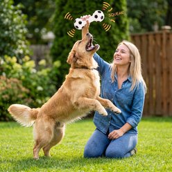 Kseroo Soccer Barbell Dog Toy slide 2 of 5