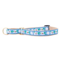 Up Country Magnolia Martingale Slide-on Dog Collar, Multicolor, Medium: 14 to 19-in neck, 1-in wide