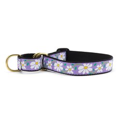 Up Country Daisy Martingale Slide-on Dog Collar, Multicolor, Medium: 14 to 19-in neck, 1-in wide